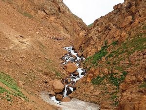 تنگ گلو