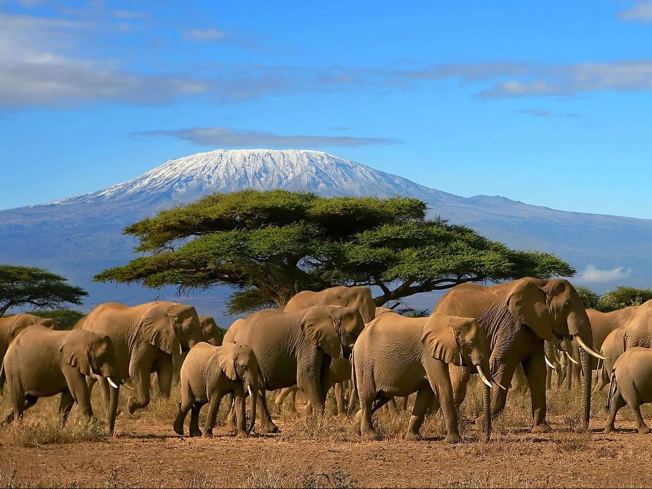 تور تانزانیا