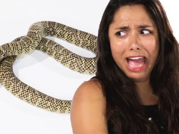 scared snake e1655090452160