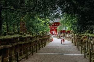 کاسوگا تایشا از زیباترین جاهای نارا ژاپن