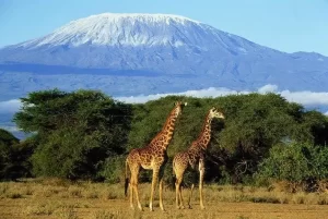 بلندترین قله آفریقا
