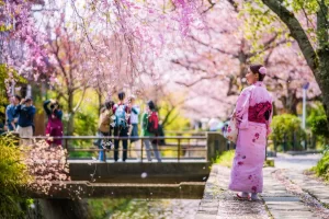 پیاده روی فیلسوف ها، کیوتو ژاپن