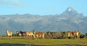 پارک ملی کوه کنیا
