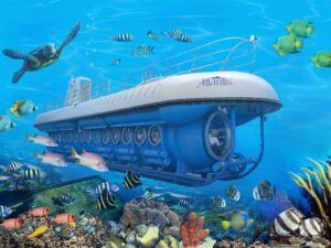زیردریایی نهنگ - دیدنی های مالدیو