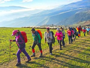 قله سرک ، جواهر جنگلهای رستمآباد 6 روستای شمام - قله سرک