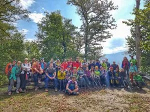 جنگل ارفع ده