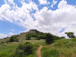 قله گاوکول هرزویل ؛ قله ای جنگلی در قلب طبیعت گیلان 3 مسیر قله گاوکول