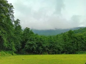 معرفی قله زینگالو ، قله جنگلی بکر و زیبا 3 مسیر قله زینگالو