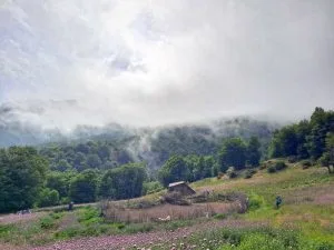 ترک اوبه