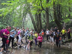 راهنمای کامل آبشار های آلوبن و فرارود 4 مسیر آبشار آلوبن