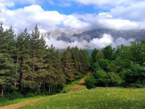 طبیعت خرونرو