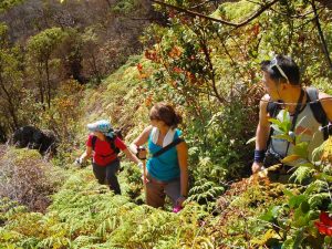 مسیر قله آپو