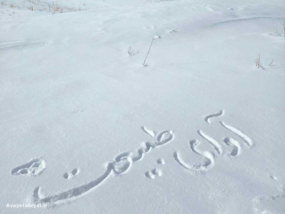 صعود به قله دختر قلعه طالقان