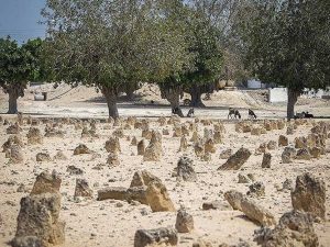 جزیره هندورابی، نگینی درخشان و بکر در خلیج فارس 3 قبرستان جزیره هندورابی