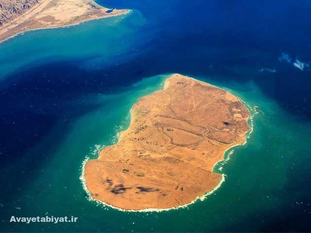 جزیره هندورابی