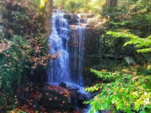 طبیعت آبشار دهجان