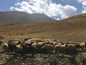 طبیعت توچال به شهرستانک