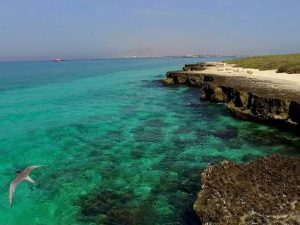 جزیره مارو یا شیدور
