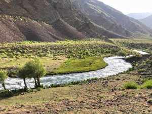 وارنگه رود