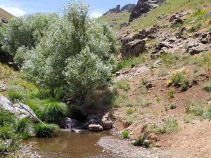 چشمه قولی زلیخا