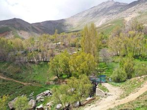 کوه الوند